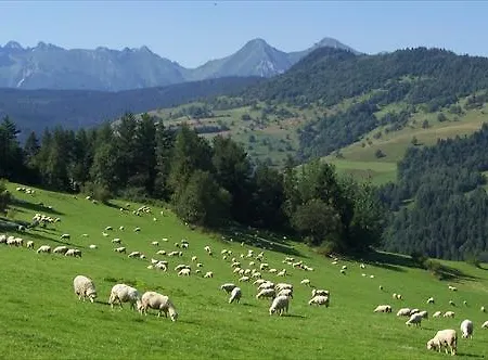 U Emila Velka Frankova